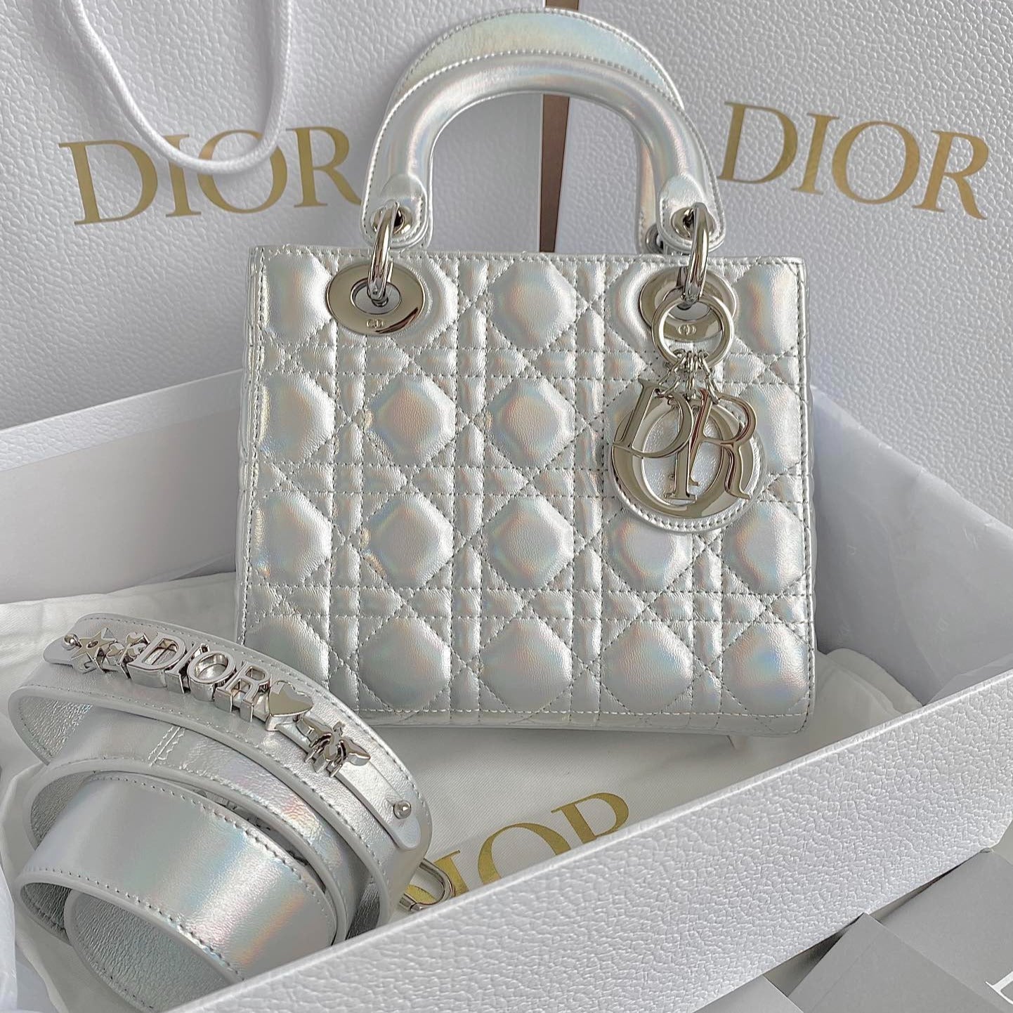 ミディアム レディ 20 ハンドバッグ（シルバー ラムスキン）